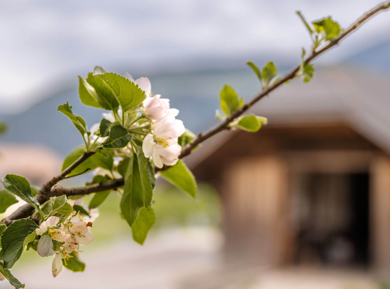 Bulandhof 84 (1) (1)