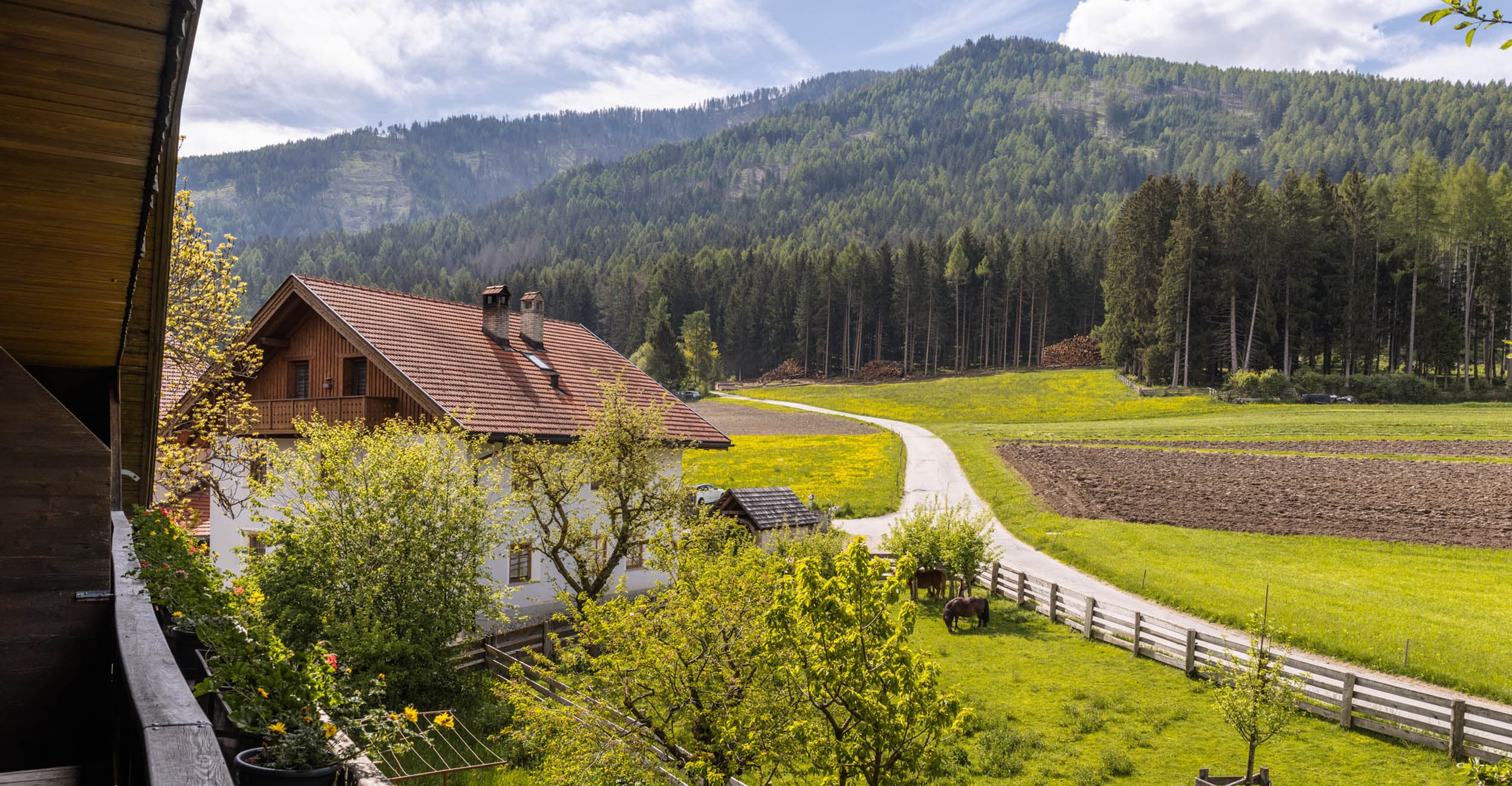 Urlaub auf dem Bauernhof in den Dolomiten Bulandhof in Olang am Kronplatz Südtirol (3)