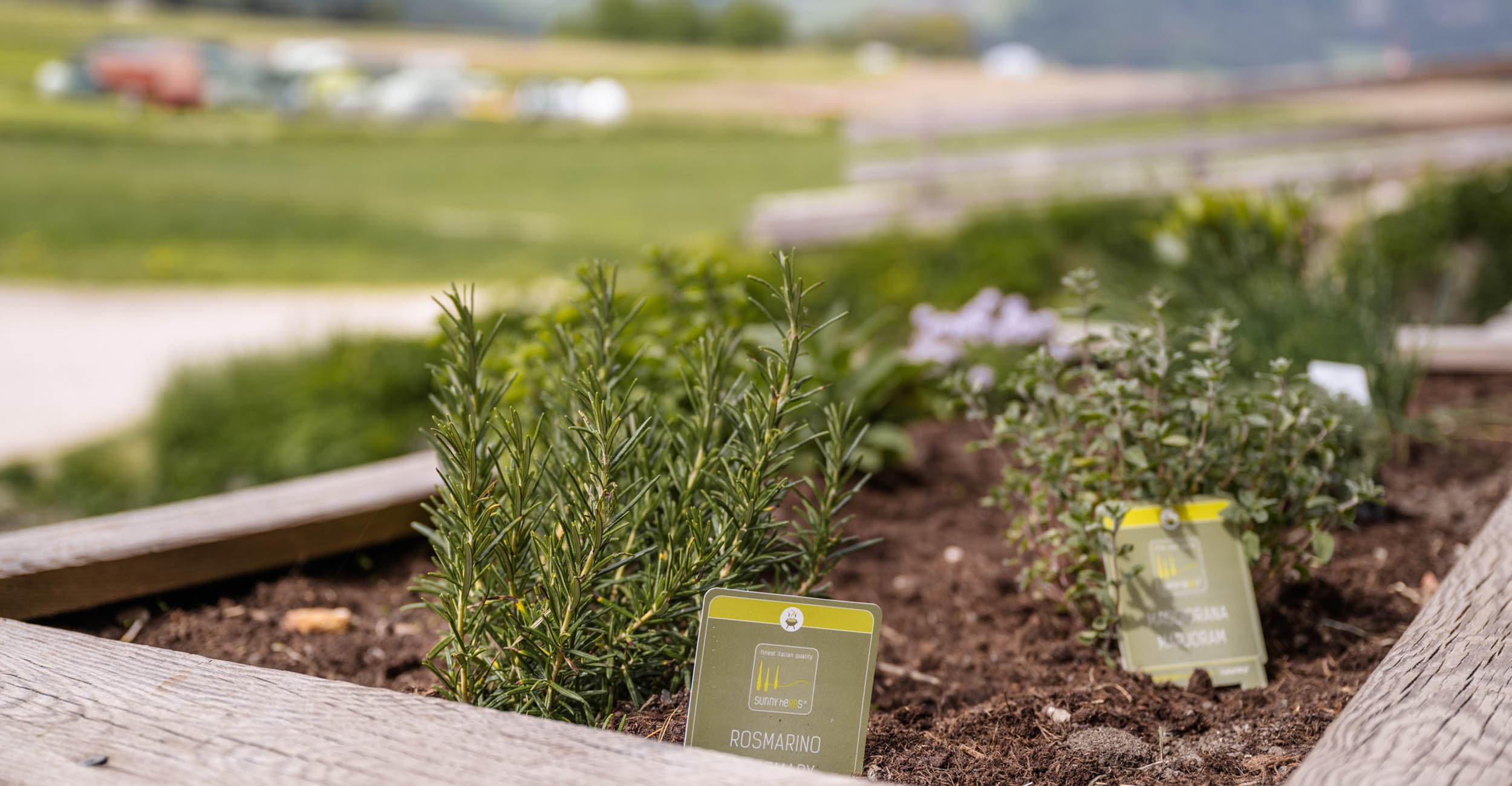 Urlaub auf dem Bauernhof in den Dolomiten Bulandhof in Olang am Kronplatz Südtirol (5)